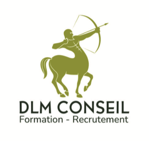 DLM Conseil